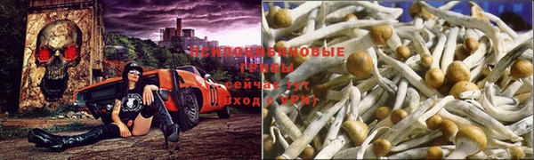 бошки Абаза